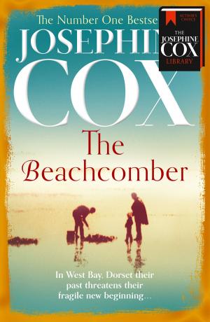 Cover of the book The Beachcomber by Simon Gandolfi