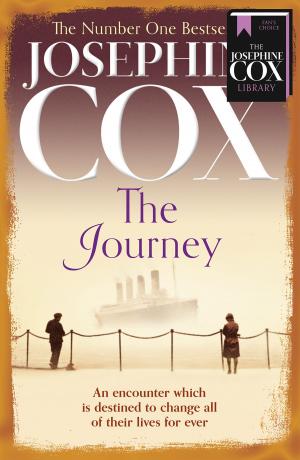 Cover of the book The Journey by Graham McCann