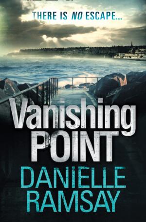 Cover of the book Vanishing Point by Roland Moore