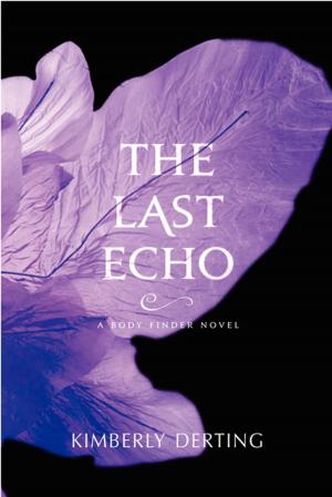 Cover of the book The Last Echo by Aislinn