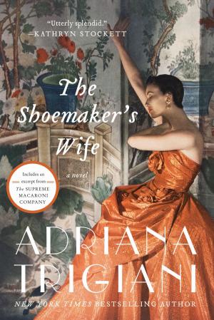 Cover of the book The Shoemaker's Wife by Michele Kleier, Samantha Kleier, Sabrina Kleier