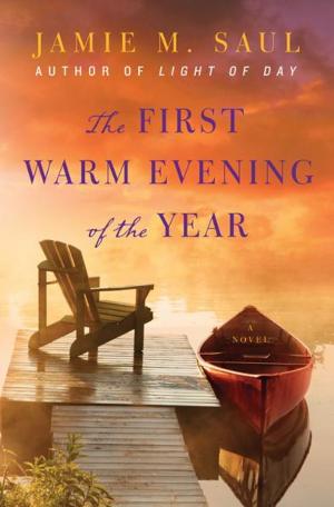 Book cover of The First Warm Evening of the Year