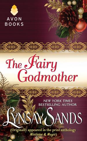Cover of the book The Fairy Godmother by R G Belsky