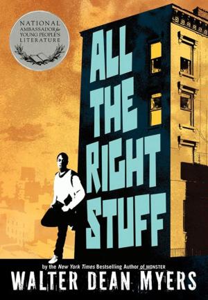 Cover of the book All the Right Stuff by Allison van Diepen