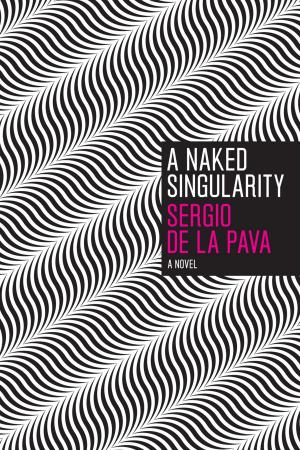 Cover of the book A Naked Singularity by Juan Obarrio
