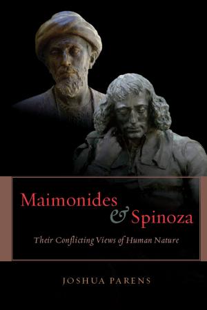 Cover of the book Maimonides and Spinoza by David Gordon White