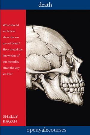 Cover of the book Death by Mr. Stephen Citron