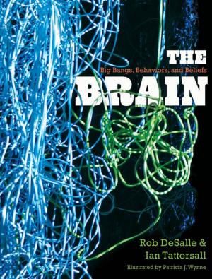 Cover of the book The Brain by Paul Starr