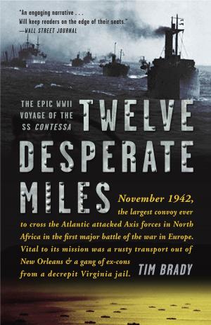 Book cover of Twelve Desperate Miles