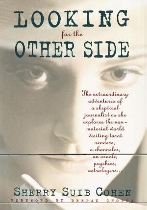 Cover of the book Looking for the Other Side by 司徒法正