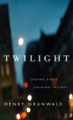 Cover of the book Twilight by Patricio Pron