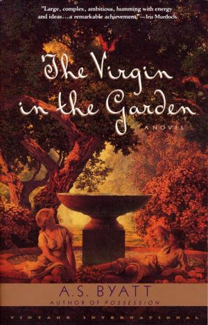 bigCover of the book The Virgin in the Garden by 
