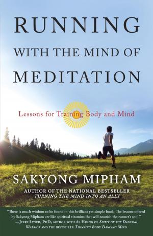 Book cover of Running with the Mind of Meditation