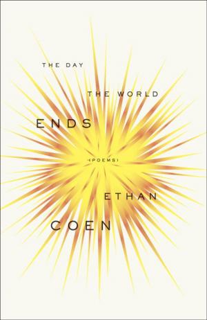 Cover of the book The Day the World Ends by Paul Chapman