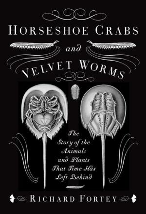 Book cover of Horseshoe Crabs and Velvet Worms
