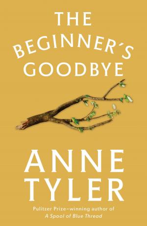 Cover of the book The Beginner's Goodbye by Avivah Gottlieb Zornberg