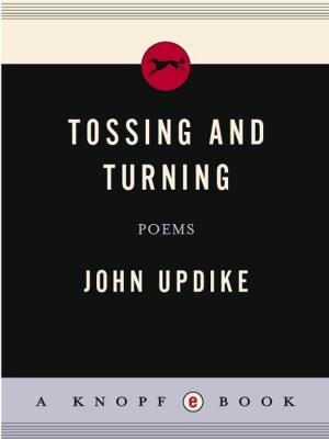 Cover of the book Tossing and Turning by John Gregory Dunne