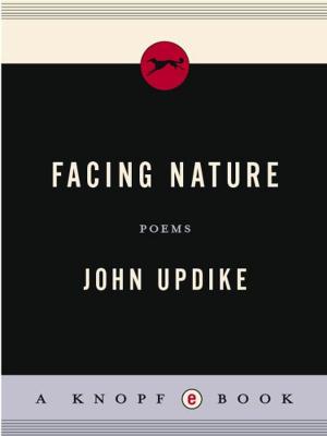 Cover of the book Facing Nature by Philip Hensher