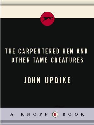 Book cover of The Carpentered Hen