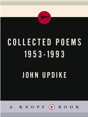 Book cover of Collected Poems, 1953-1993