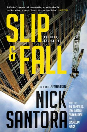 Cover of the book Slip &amp; Fall by Karen Ellis