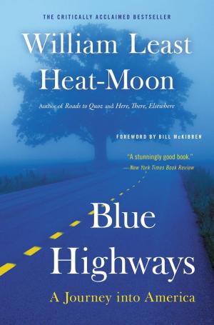 Cover of the book Blue Highways by Kalifer Deil