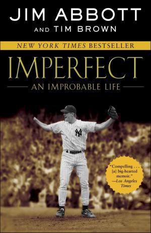 Cover of the book Imperfect: An Improbable Life by Evan Imber-Black