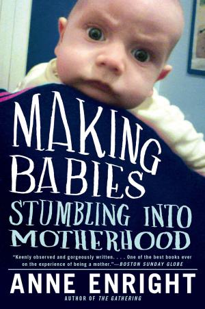 Cover of the book Making Babies: Stumbling into Motherhood by Mark Buchanan