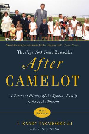 Book cover of After Camelot