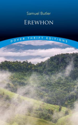 Cover of the book Erewhon by Norman Davidson
