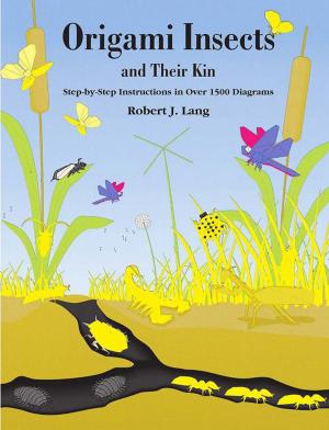 Cover of the book Origami Insects by James S. Trefil