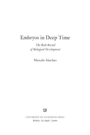 Cover of the book Embryos in Deep Time by 