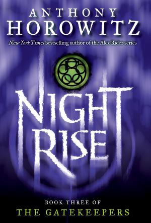 Cover of the book The Gatekeepers #3: Nightrise by Daisy Meadows
