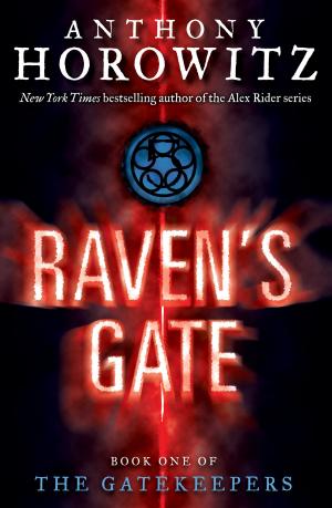 bigCover of the book The Gatekeepers #1: Raven's Gate by 