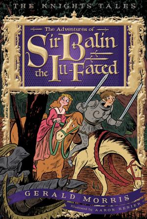 Cover of the book The Adventures of Sir Balin the Ill-Fated by Don Richard Riso, Russ Hudson
