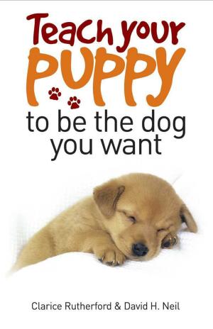 Book cover of Teach Your Puppy to be the Dog you Want