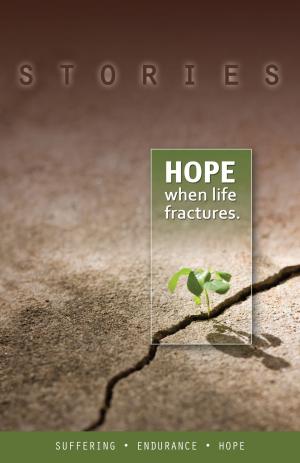 Cover of the book Stories, Hope When Life Fractures by S Long