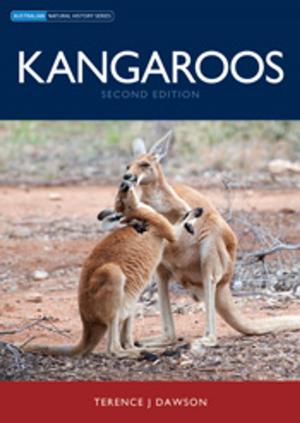 Cover of the book Kangaroos by 法蘭斯．德瓦爾(Frans de Waal)