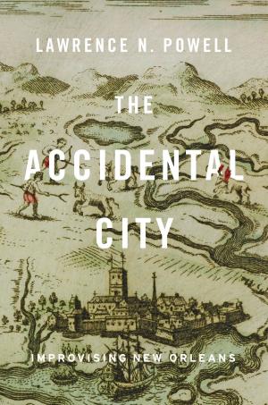 Book cover of The Accidental City