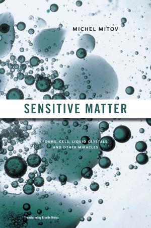Cover of the book Sensitive Matter by Davi Kopenawa