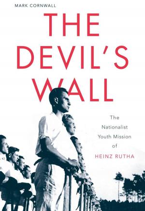 Cover of the book The Devil's Wall by Andrea Tagliaferri