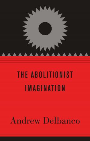 Cover of the book The Abolitionist Imagination by Elizabeth McCahill