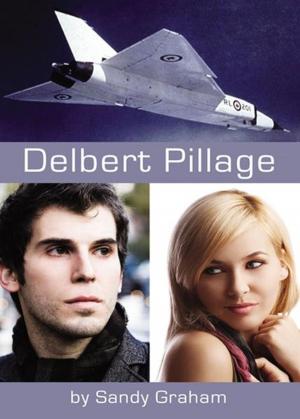 Cover of the book Delbert Pillage by Todd Alan Beziila D.O.