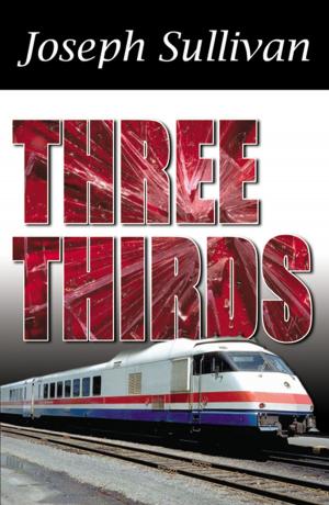 Cover of Three Thirds by Joseph Sullivan, Infinity Publishing