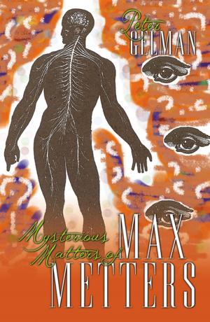 bigCover of the book Mysterious Matters of Max Metters by 