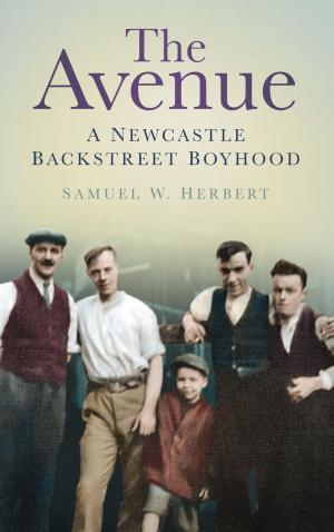 Cover of the book Avenue by Vicky Thomas, Max Arthur