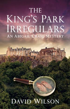 Cover of the book King's Park Irregulars by Angus Mansfield