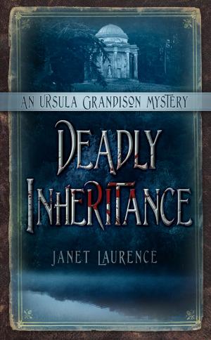 Cover of the book Deadly Inheritance by Joe Travis