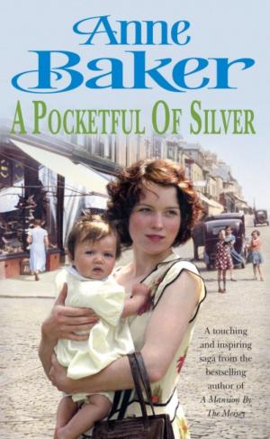 Cover of the book A Pocketful of Silver by David Kennard