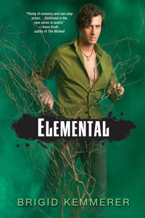 Cover of the book Elemental by Evangeline Anderson